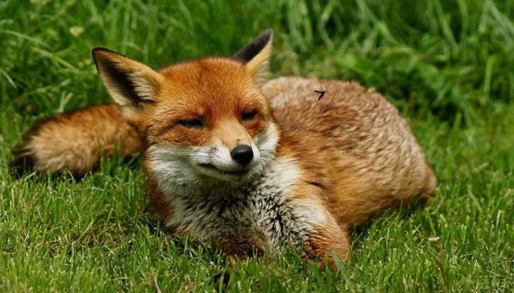 Разпръскването на ваксините ще се извърши през следващите 20 дни