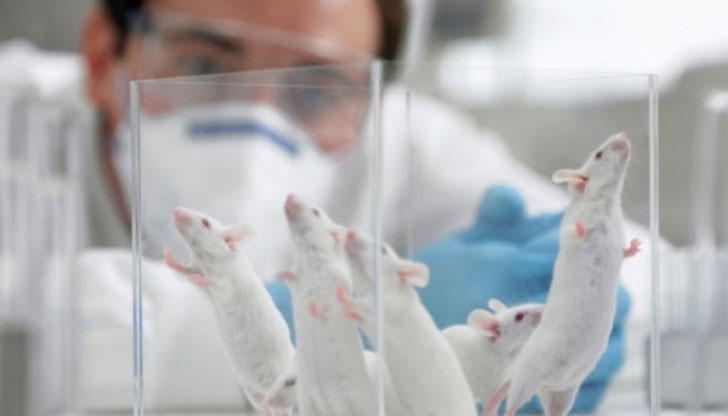 Изразът „чувствам болката ти" може да се окаже самата истина Изразът „чувствам болката ти" може да се окаже самата истина