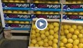 Турция ни прати опасни за здравето лимони!