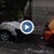 Кадри от инцидента с опожарените коли в Русе