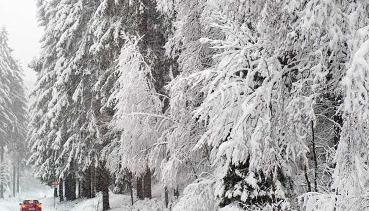 Трупът на 43-годишен мъж е бил намерен в землището на село Йончево, Кърджалийско Трупът на 43-годишен мъж е бил намерен в землището на село Йончево, Кърджалийско