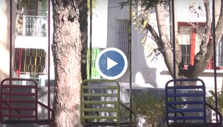 Директорите сами ще възлагат поръчките и ще сключват договори за изпълнение