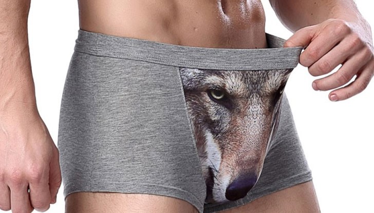 Най-новият хит в онлайн магазините в момента са боксерки с животинска щампа, като най-разпространените са вълчите муцуни