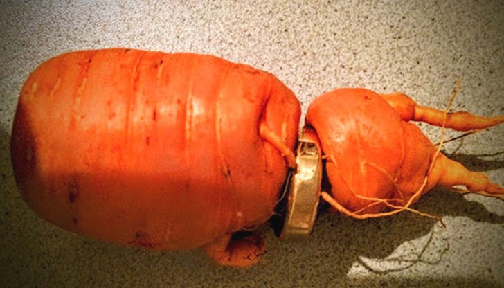 Пръстенът изчезнал преди три години, докато възрастният човек работел в градината си