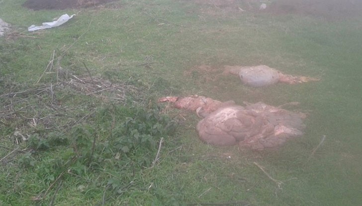 Очевидно местната власт нехае, защото това не е от вчера