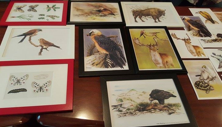 Изложбата „Голямото завръщане” представя илюстрации на растителни и животински видове
