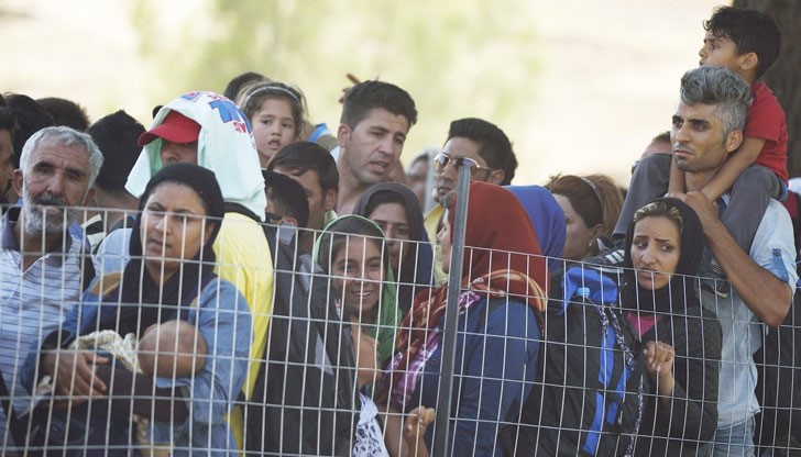 Има ислямска инвазия! Има ислямска инвазия!