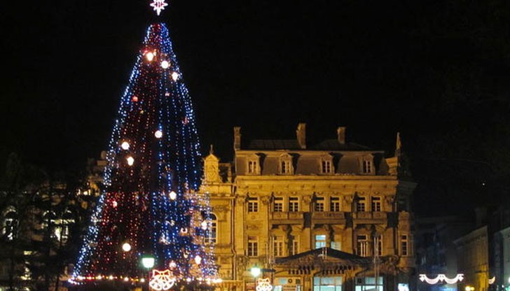 На 10 места в града ще има обособени зони за продажба на коледни елхи На 10 места в града ще има обособени зони за продажба на коледни елхи