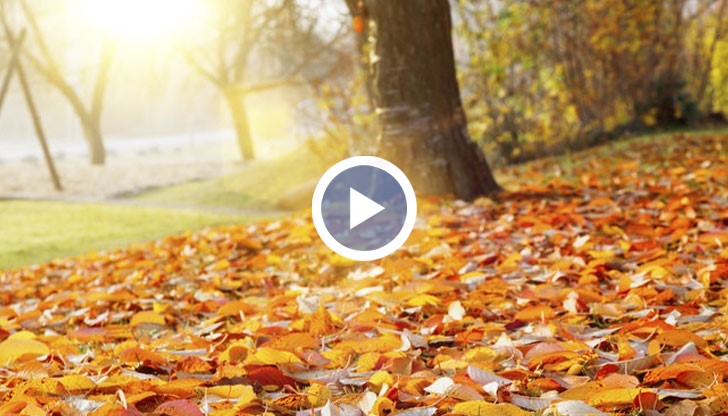 Температурите ще стигнат до 20 градуса, но затоплянето ще е за кратко