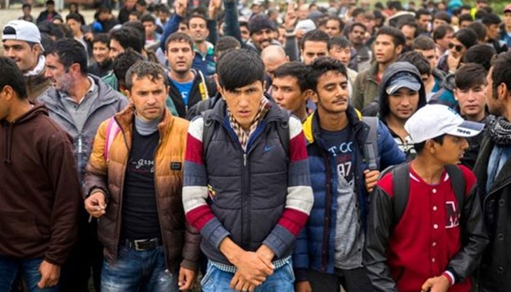Данните на МВР показват, че мигрантите масово се залавят във вътрешността на страната или при опит да напуснат страната през българо-сръбската граница