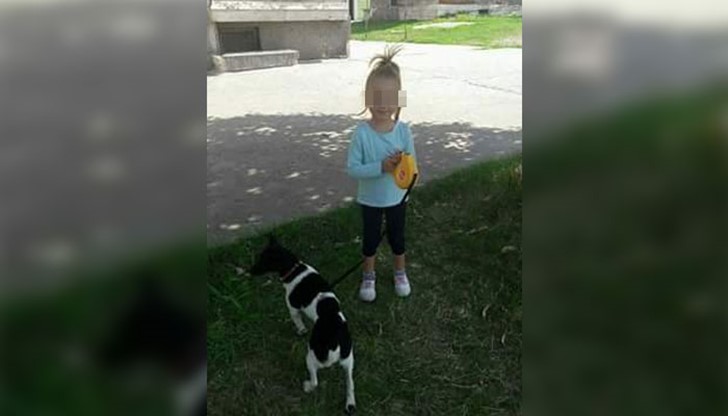 Тя е малко по-голяма от пинчер и доста плашлива! Тя е малко по-голяма от пинчер и доста плашлива!