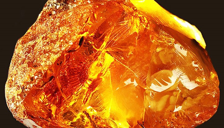 Трима рибари с късмет уловиха в морето гигантско парче амбра, оценено почти на 3 милиона долара / Снимката е илюстративна Трима рибари с късмет уловиха в морето гигантско парче амбра, оценено почти на 3 милиона долара / Снимката е илюстративна