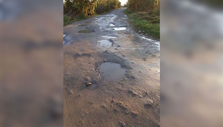 За кметските избори поне имахме обещание, за президентските - нищо!