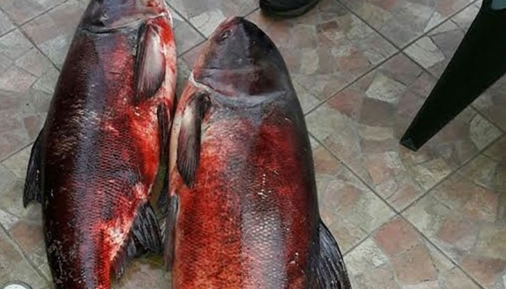 Късметлията си е късметлия