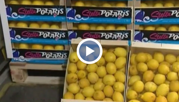 Рискът опасните лимони да са попаднали на пазара е минимален, уверяват експерти