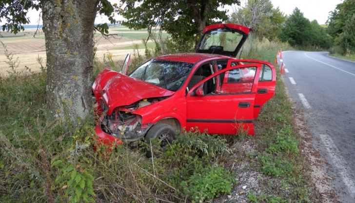 Шофьорът се забил с Опел-а си в крайпътно дърво / Снимката е илюстративна