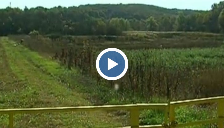 Предвижда се местността да се превърне в зона за отдих и спортен риболов, а хората, които живеят тук, се надяват най-накрая да имат асфалтиран път