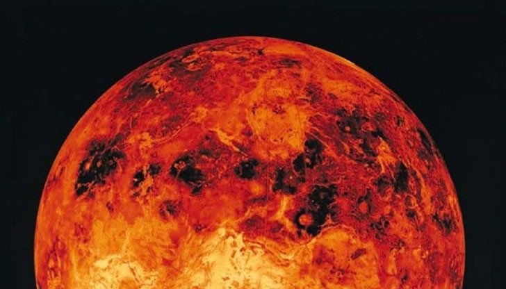 Шокиращото за учените е, че цветята имат венчелистчета – т.е. има някакви насекоми, които ги опрашват