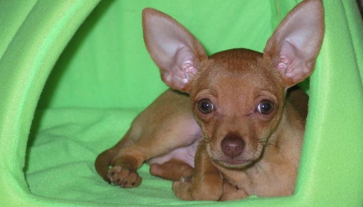 Като разберете, че сте измамени, вече е твърде късно Като разберете, че сте измамени, вече е твърде късно