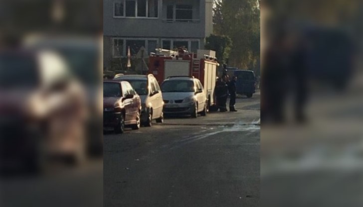 Тя била открита в квартал „Хаджи Димитър”, зад 24-о СОУ Тя била открита в квартал „Хаджи Димитър”, зад 24-о СОУ