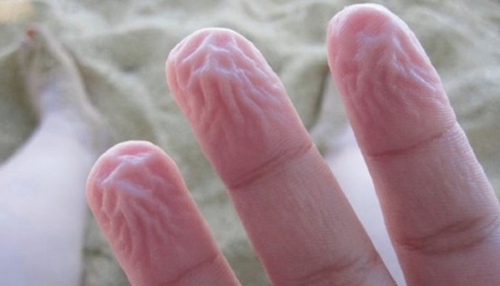 Тялото ни притежава цяла система от защитни механизми