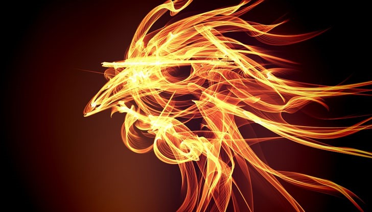 Кратка годишна прогноза за всяка една от зодиите Кратка годишна прогноза за всяка една от зодиите