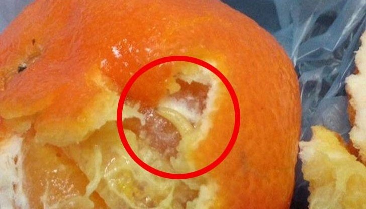 Вместо витамини от мандарините изскочили бели червеи!