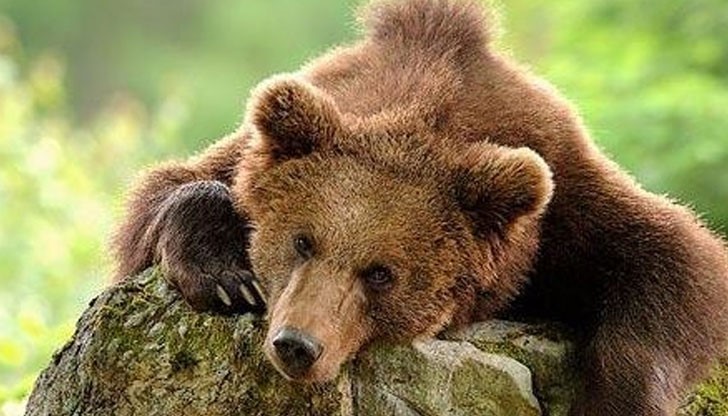 На 30 ноември Българската православна църква отбелязва деня на Свети апостол Андрей Първозвани