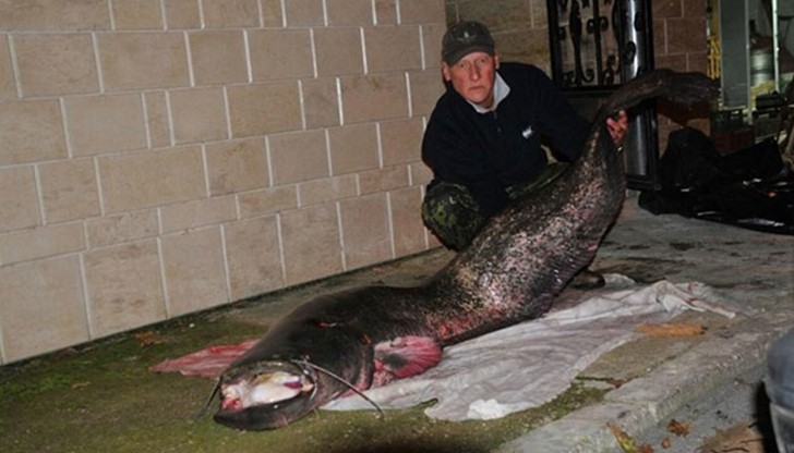 За да улови чудовището, Здравко Стайков-Заки се заредил с морски куки за 200-килограмови туни
