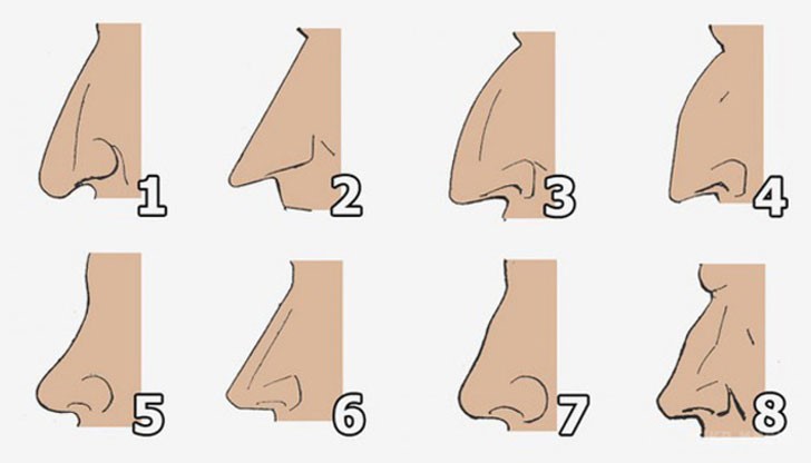 Обърнете внимание на носа на някого, когото виждате за първи път Обърнете внимание на носа на някого, когото виждате за първи път