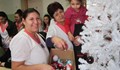 Детска градина дари елха за хирургичния блок в Русе