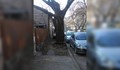 Убий дърво, освободи паркомясто ... върху тротоара