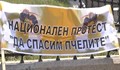 Грийнпийс излизат на протест заради измирането на пчелите