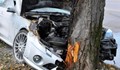 "Мерцедес" отсече дърво на пътя Русе - Бяла
