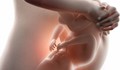 Знаете ли, че вашето бебе пишка в утробата?