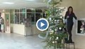Деца дариха елха на русенската болница