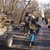 Спипаха четирима за незаконна сеч в Русенско