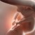 Знаете ли, че вашето бебе пишка в утробата?