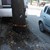 Вандали обрязаха дървета по улица "Оборище"