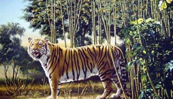Скритият тигър е толкова добре замаскиран, че 99% от хората изобщо не успяват да го намерят колкото и да търсят