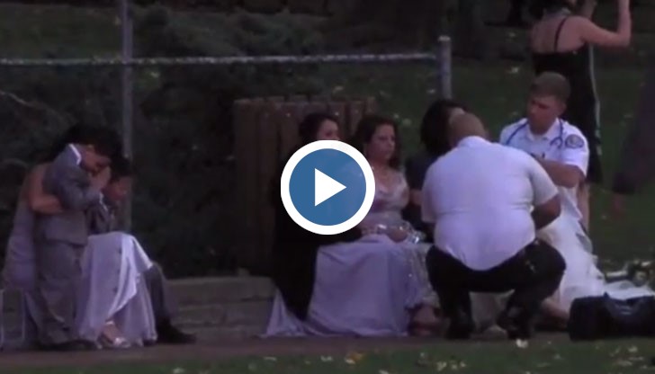 Дърво падна върху сватбари и уби жена