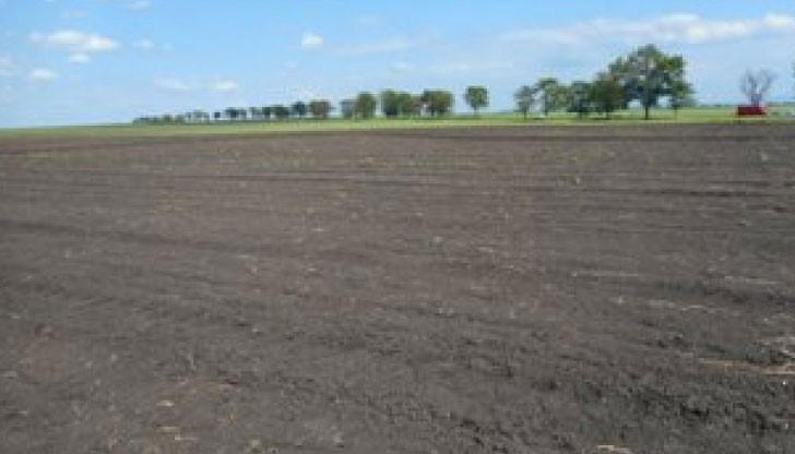 Рентите в Ивановско – между 40 и 65 лв./дка Рентите в Ивановско – между 40 и 65 лв./дка