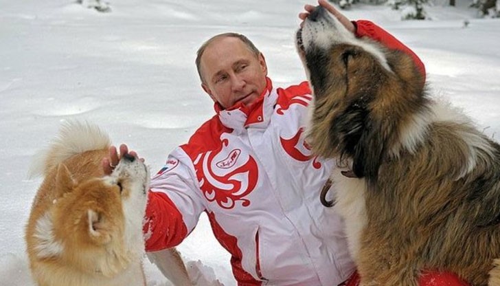 Руският президент Владимир Путин е отказал подарък куче от японското правителство