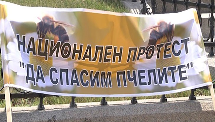 Активисти на природозащитната организация „Грийнпийс“ излизат днес на протест