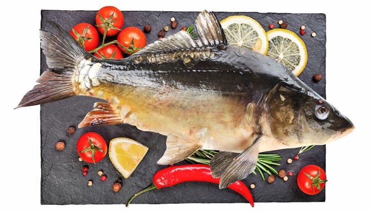 Защото шараните, които предлагаме в супермаркети СВА, идват при нас живи