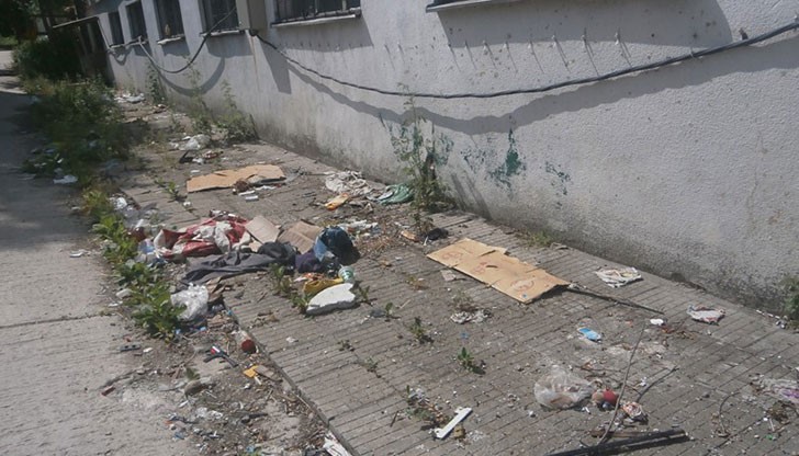 В нашият град ще пламне ЧУМА защото тоя боклук се разлага от много време