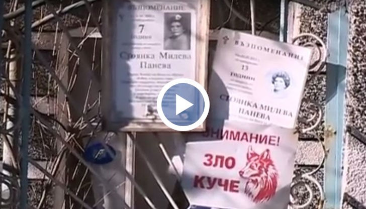 История за арсен смърт и пари