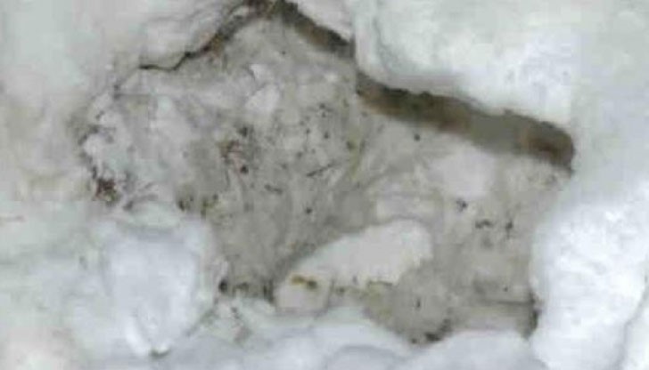 12-годишно момченце почина, след като то и негово приятелче били затрупани от огромна преспа сняг 12-годишно момченце почина, след като то и негово приятелче били затрупани от огромна преспа сняг