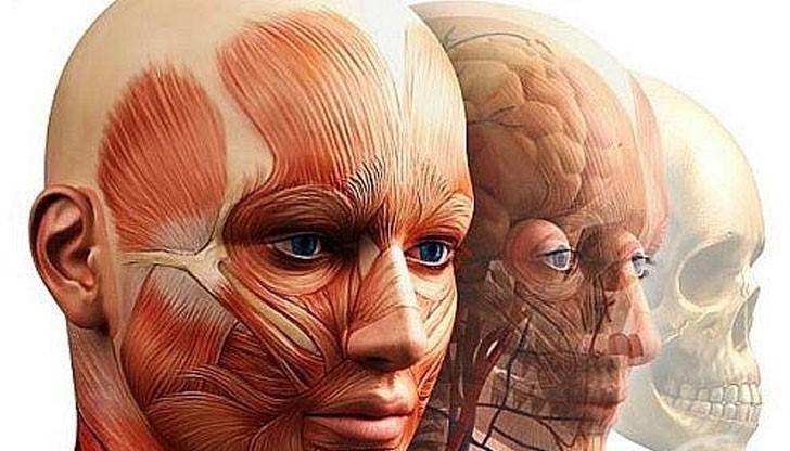 Тези части са ни били нужни в миналото, но сега създават само проблеми