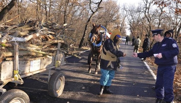 Полицаи от РУ – Сливо поле и горски успяха да хванат четири каруци, натоварени с незаконно отсечени дървета